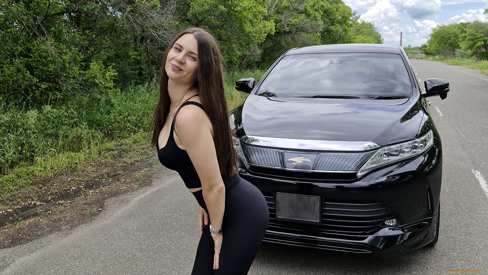 , -  , toyota, harrier